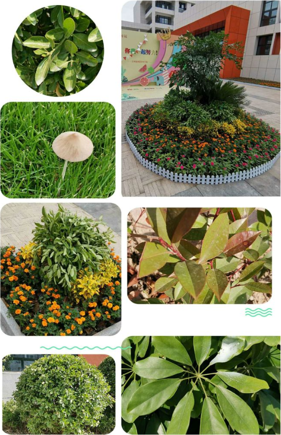 1599289911496876.png image.png