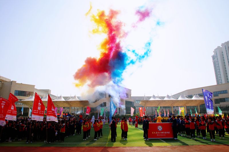 1683529292915647.jpeg 彩烟绽放.jpg