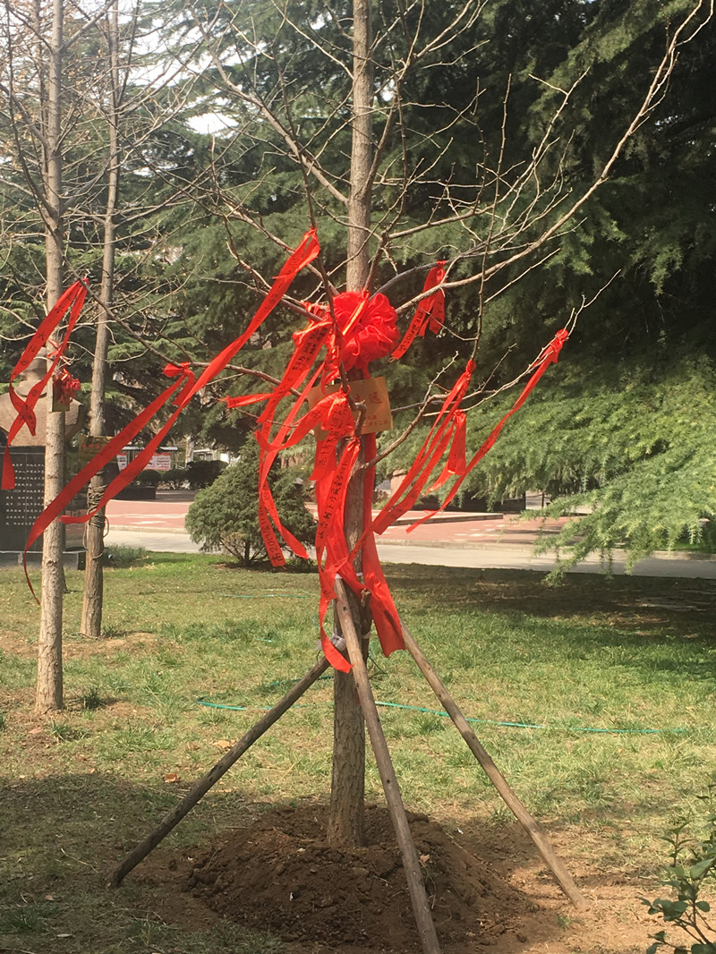 1552382948192703.jpeg 微信图片_20190312170326_副本.jpg