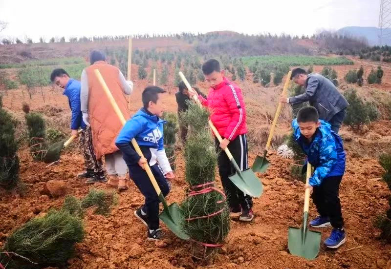 1552874883246932.jpeg 12345_副本.jpg