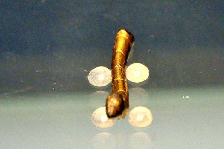 1569723337313756.png 汉代·鎏金铜蚕.png