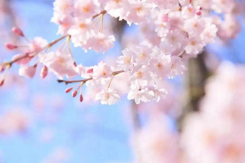 1591003458735728.jpeg 图片三.jpg