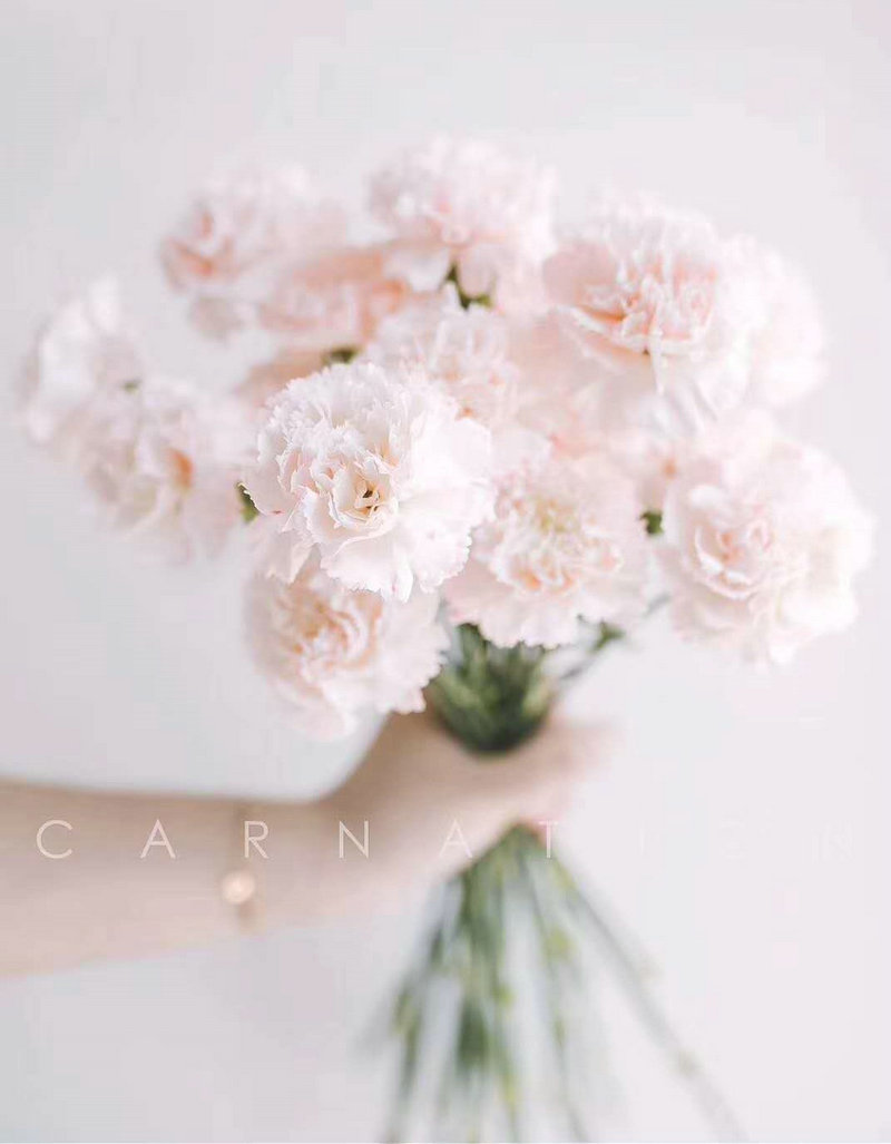 1592383788170593.jpeg 图片一.jpg