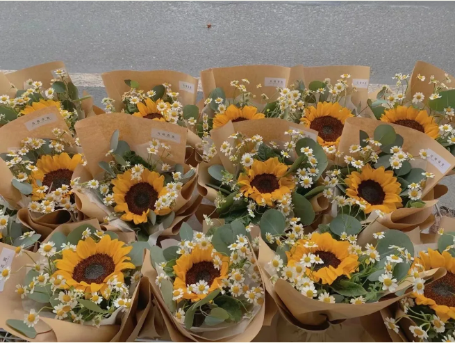 1615257579143558.png image.png