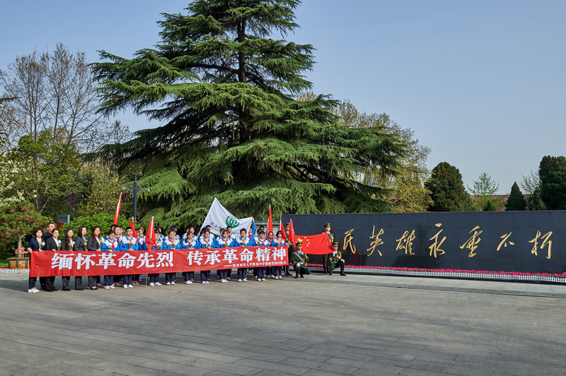 1617003612106351.jpeg 15.jpg