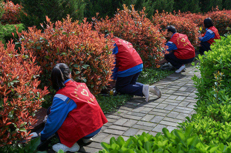 1617003650839971.jpeg DSC_0904.jpg