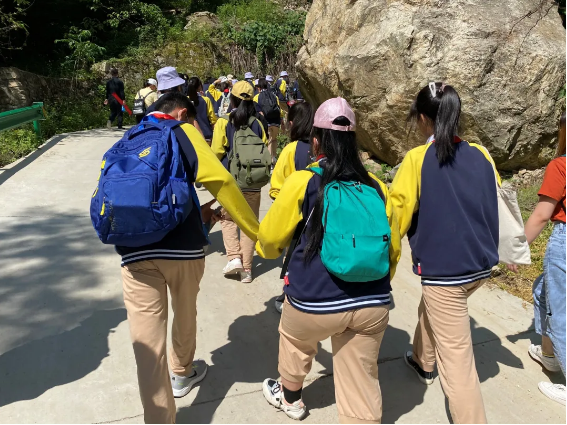 1621496715477786.png image.png