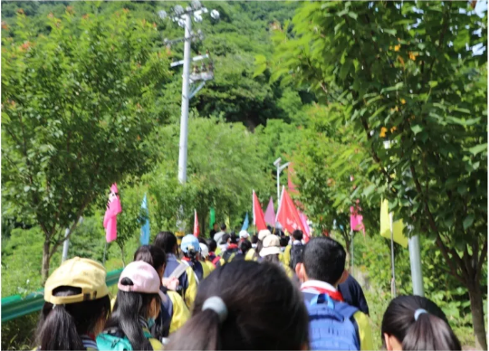 1621496737576244.png image.png