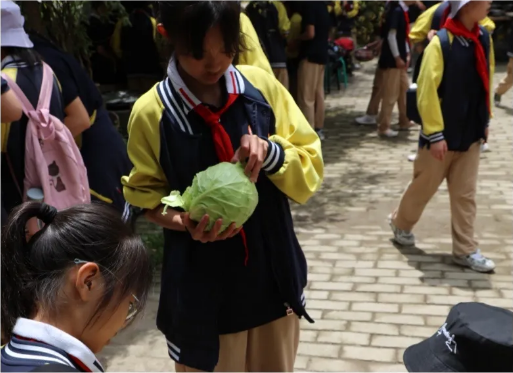 1621497800292101.png image.png