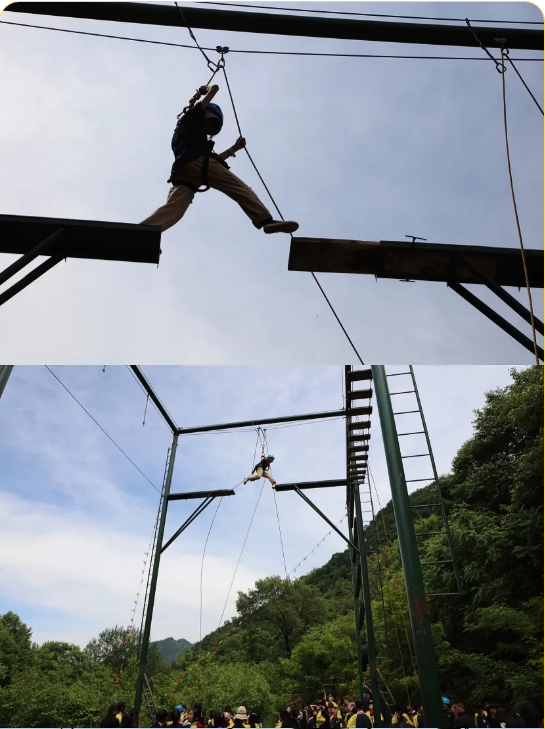 1621498006975223.png image.png