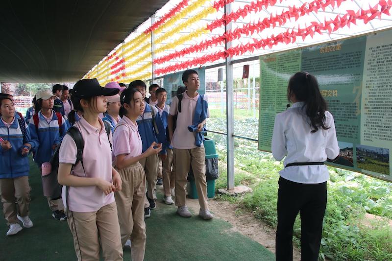 1622904173713986.jpeg IMG_2037.JPG