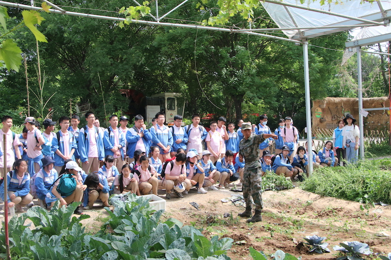 1622904551136142.jpeg IMG_1975.JPG