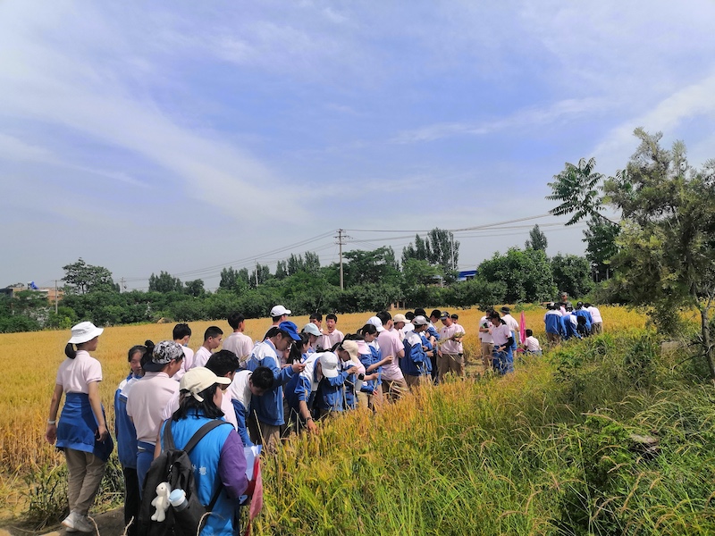 1622904795831239.jpeg 6-6.jpg