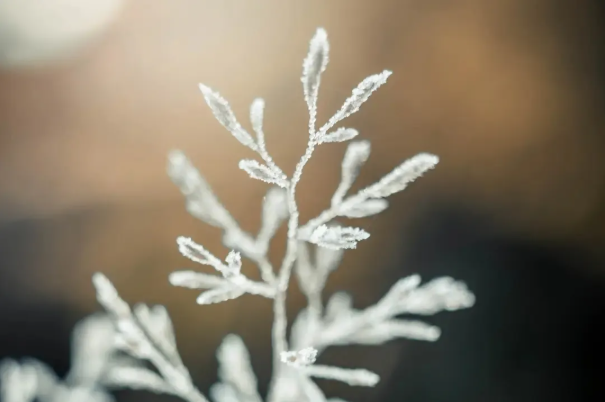 1645448423272758.png image.png