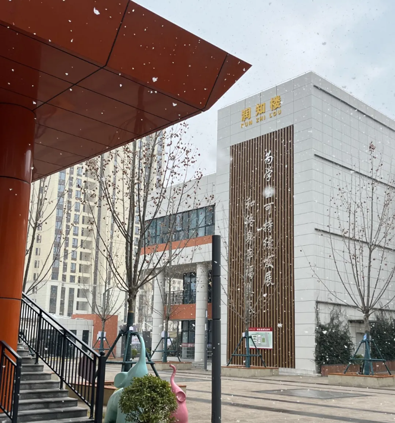 1645448552268259.png image.png