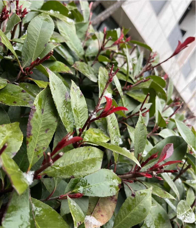 1645448659961017.png image.png