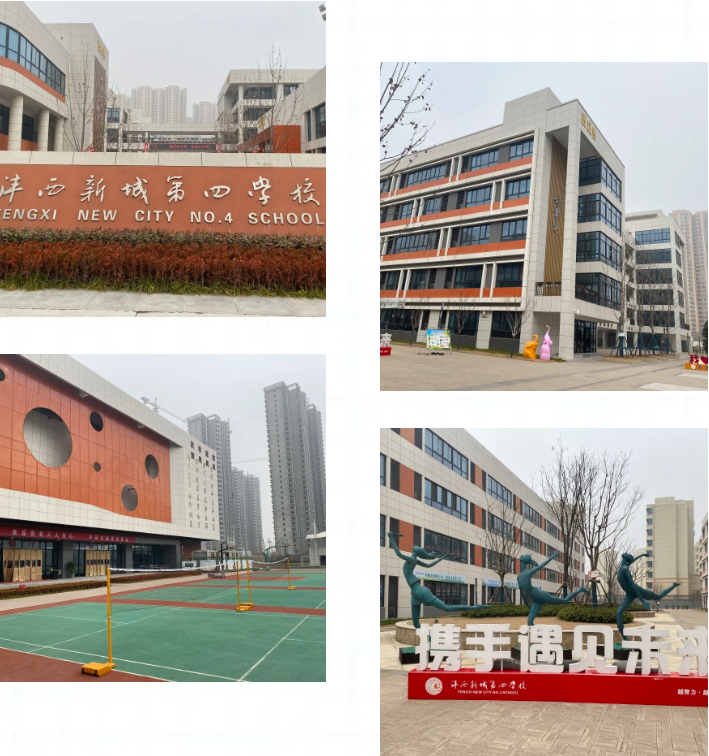 1645452525925975.png image.png