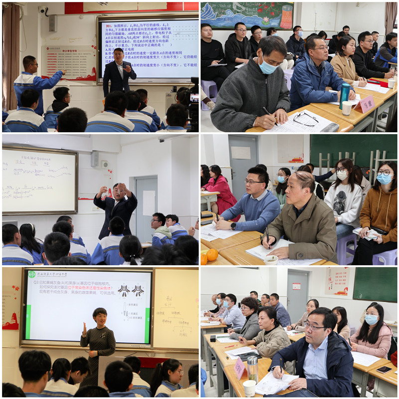 1668561731132073.jpeg 72806df8051fdfeeb78c855172f9a47.jpg