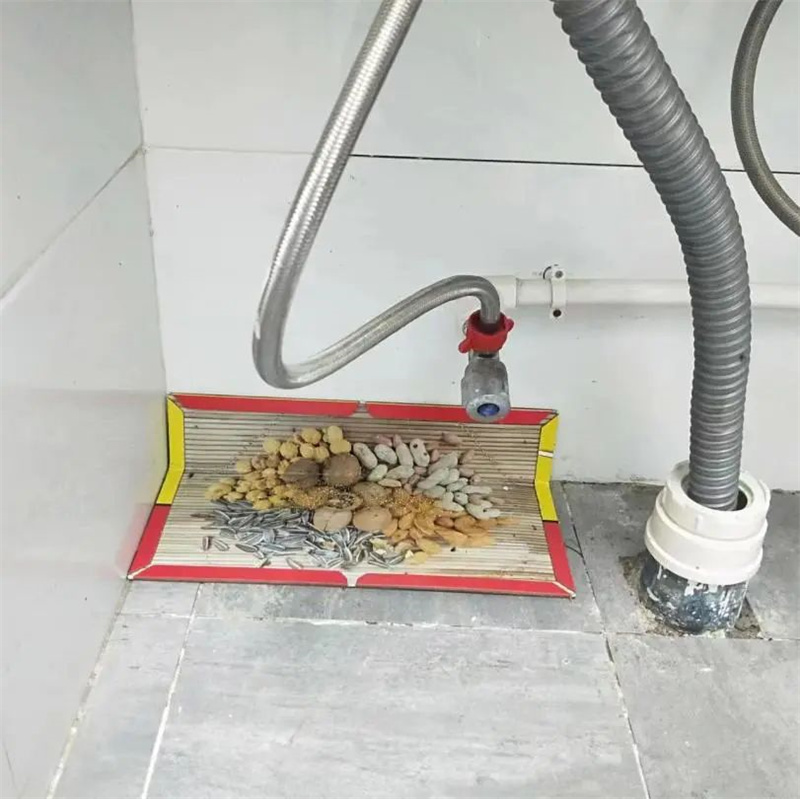 1670382495217591.jpeg 微信图片_20221207101532.jpg