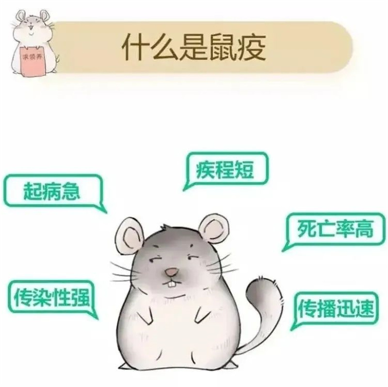 1670382515536263.jpeg 微信图片_20221207100605.jpg