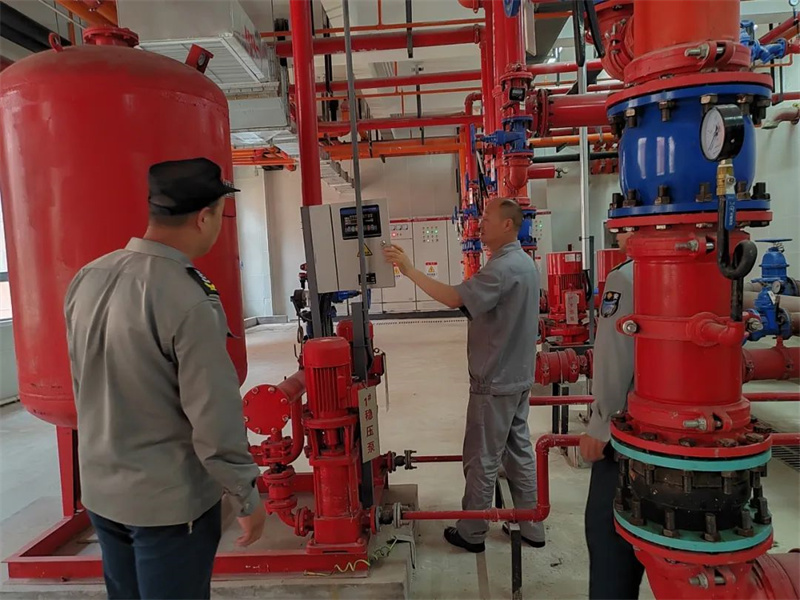 1703043118348687.jpeg 3.jpg